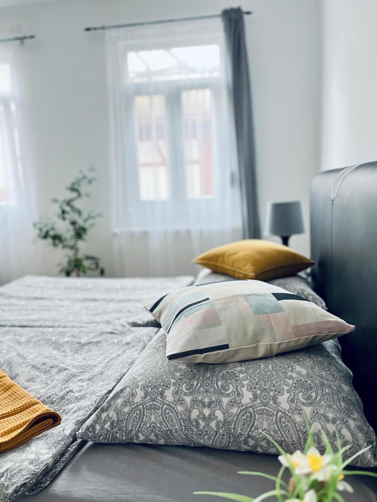 Appartement -1-zentral-traumwohnung-rhein
